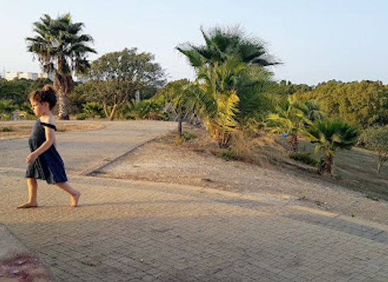 israel/tel-aviv/attraction/tlv-bike-tours