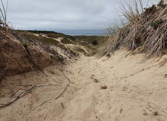 jersey/saint-brelade/attraction/gap-hide