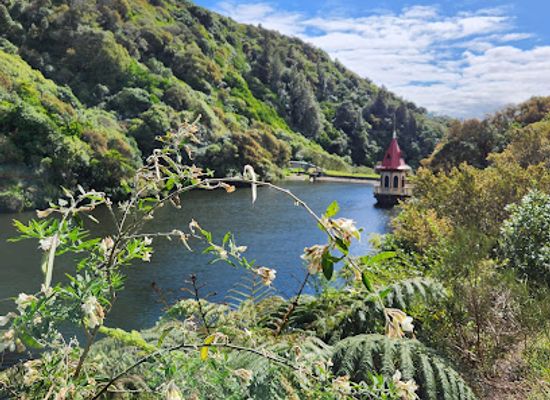 new-zealand/west-coast/attraction/zealandia-te-mara-a-tane