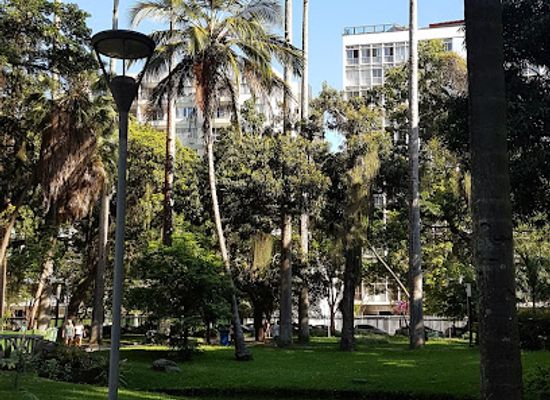 brazil/rio-de-janeiro/attraction/jardins-do-museu-da-republica