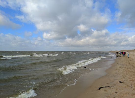 netherlands/wadden-islands/attraction/marker-wadden