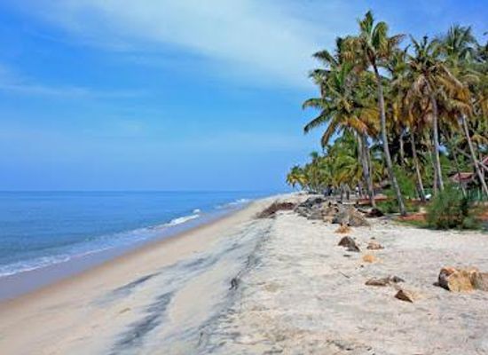 india/kerala/attraction/marari-beach