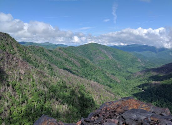 tennessee/highland-rim/attraction/great-smoky-mountains-national-park