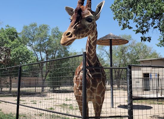 kansas/garden-city/attraction/lee-richardson-zoo