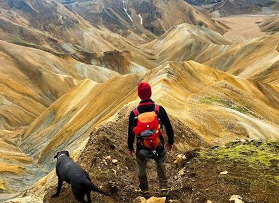 iceland/southern-region/attraction/midgard-adventure