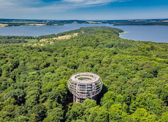 germany/rugen-island/attraction/aussichtplattform-adlerhorst-baumwipfelpfad-rugen-naturerbezentrum-rugen