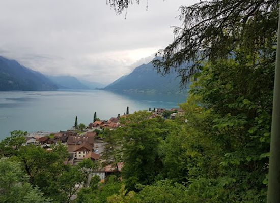switzerland/emmental/attraction/wildpark-brienz