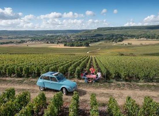 france/champagne/attraction/champagne-meteyer-pere-et-fils