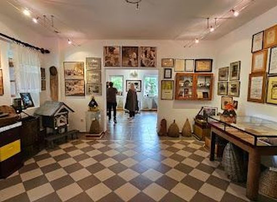 serbia/novi-sad/attraction/museum-of-beekeeping-and-winery-zivanovic
