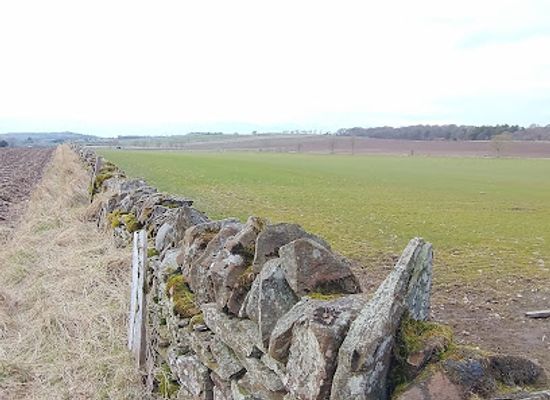 united-kingdom/dundee/attraction/muirhead-backmuir-community-wood