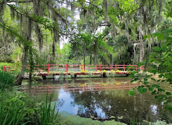 south-carolina/charleston/attraction/magnolia-plantation-and-gardens