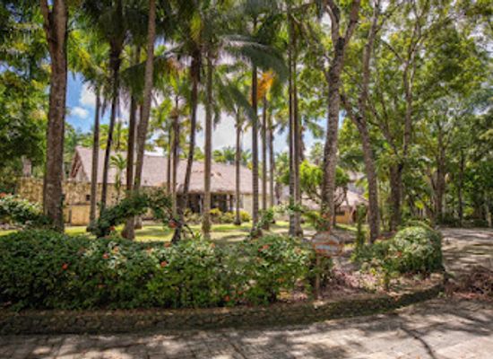 belize/corozal-district/attraction/the-mayan-garden