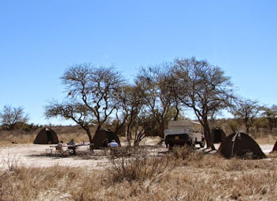 botswana/central-kalahari-game-reserve/attraction/deception-valley
