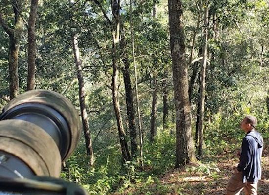 belize/mountain-pine-ridge-forest-reserve/attraction/vaca-forest-reserve