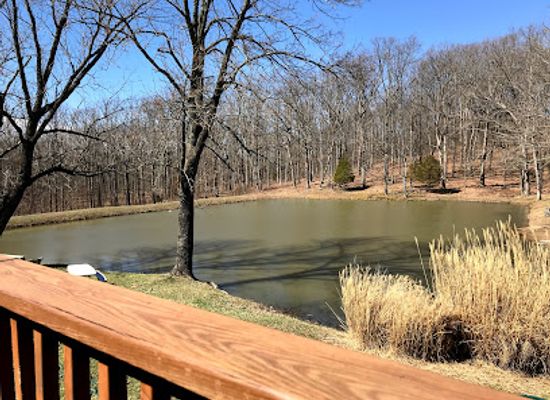 illinois/giant-city-state-park/attraction/feather-hills-vineyard-and-winery