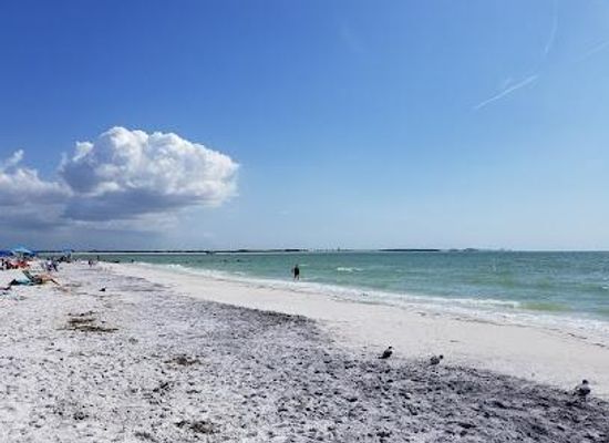 florida/clearwater/attraction/honeymoon-island-state-park