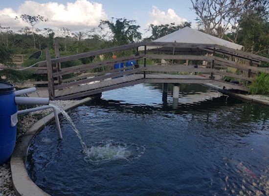 trinidad-and-tobago/st-patrick/attraction/samsara-nature-park