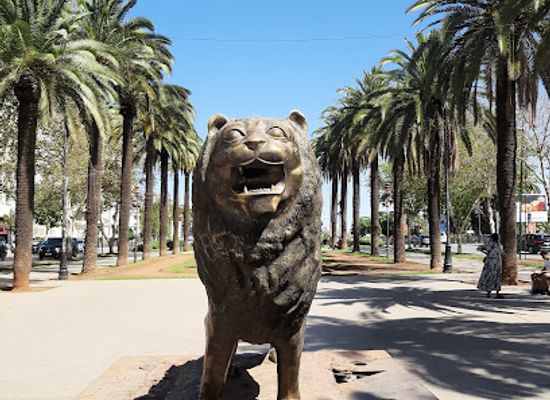 morocco/fes/ville-nouvelle/attraction/lion-statue