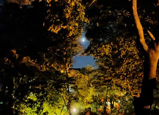massachusetts/plymouth-county/attraction/plymouth-night-tour