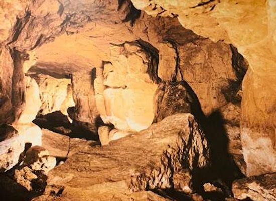 spain/santander/attraction/cave-of-altamira