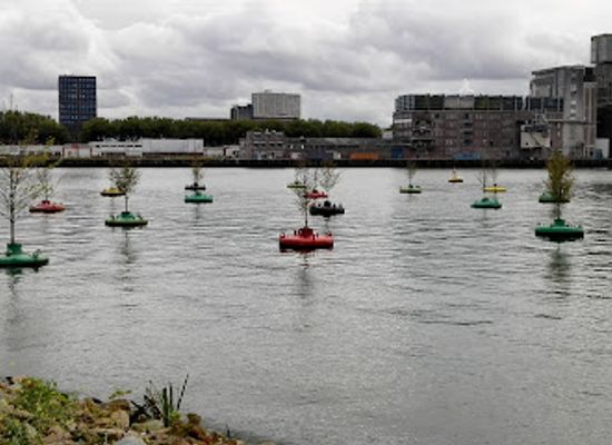 netherlands/rijnmond/attraction/erasmusbrug