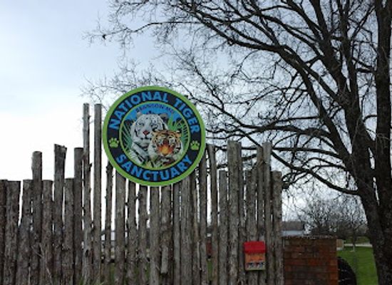 missouri/ozarks/attraction/national-tiger-sanctuary