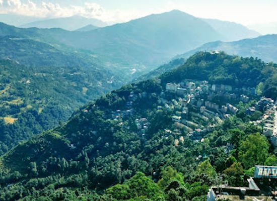 india/sikkim/attraction/flower-exhibition-centre-ridge-park