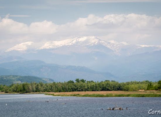 romania/targu-jiu/attraction/delta-jiului