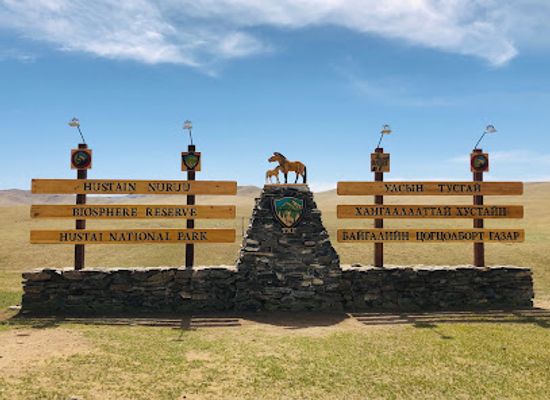 mongolia/terelj-national-park/attraction/hustai-national-park