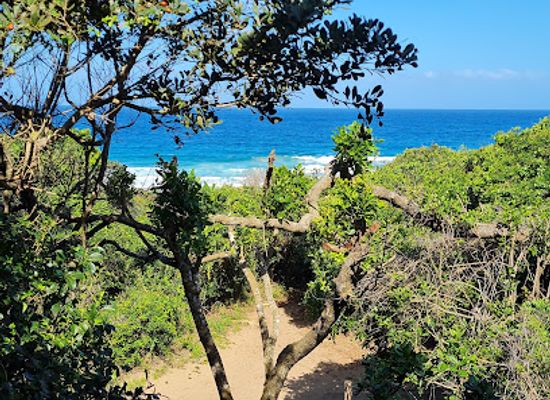mozambique/ponta-do-ouro/attraction/mamoli-beach-camp