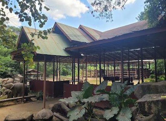 thailand/kanchanaburi/attraction/elephant-haven-thailand