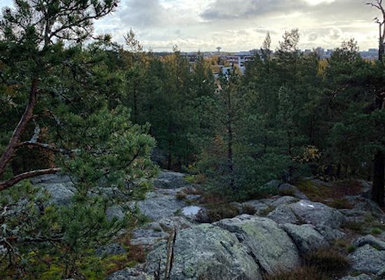 finland/espoo/attraction/friisinkallio-nature-reserve