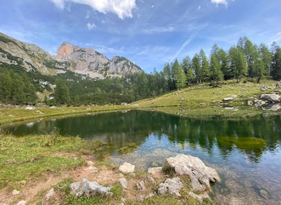austria/upper-austria/attraction/brunnsteinersee
