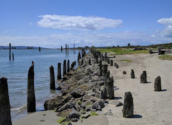 washington/marysville/attraction/jetty-island