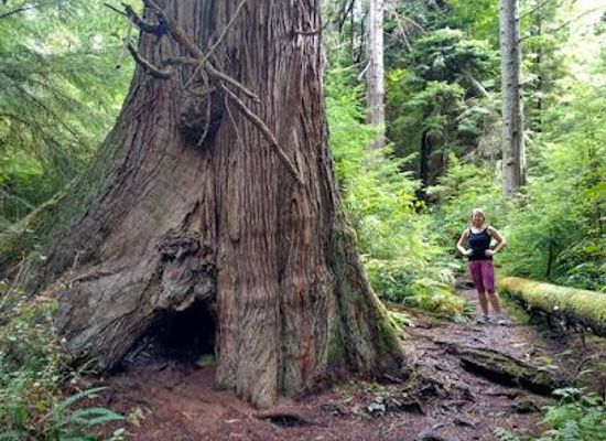 washington/puget-sound/attraction/south-whidbey-state-park