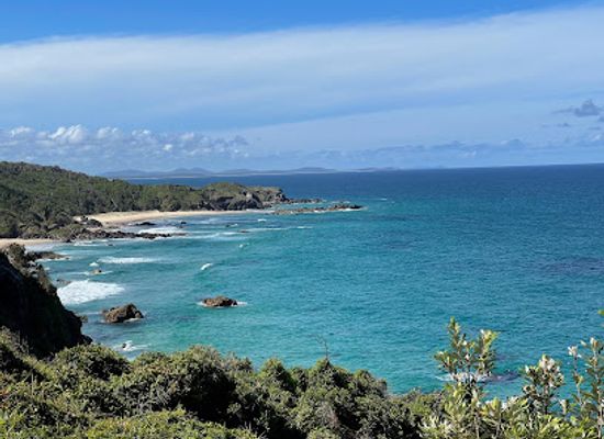 australia/mid-north-coast/attraction/sea-acres-rainforest-boardwalk