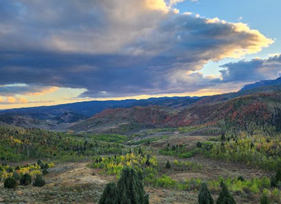 utah/logan/attraction/zootah