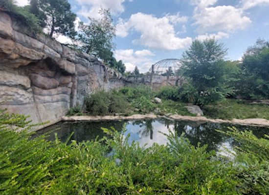 czechia/sumava/attraction/zoo-hluboka