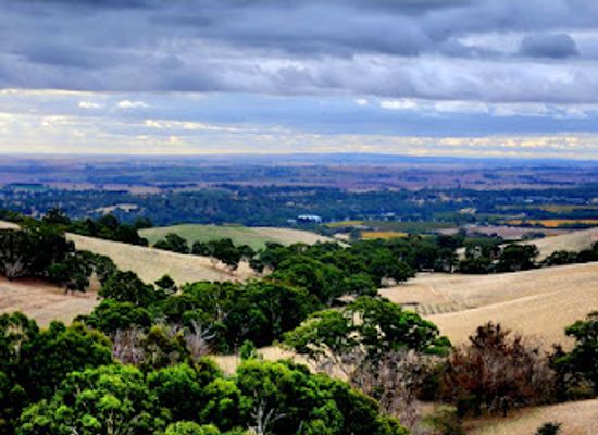 australia/barossa-valley/attraction/g-b-a-parsons-lookout