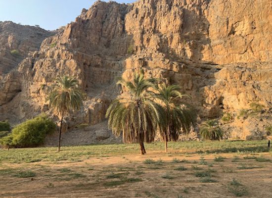 united-arab-emirates/hajar-mountains/attraction/hidden-oasis