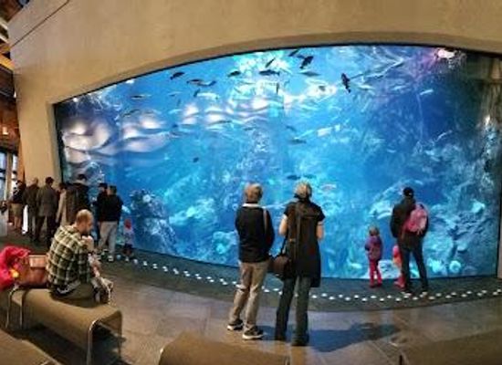 washington/lynnwood/attraction/seattle-aquarium