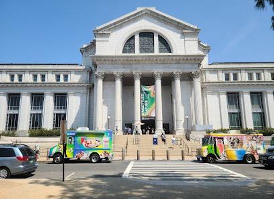 maryland/waldorf/attraction/smithsonian-national-museum-of-natural-history