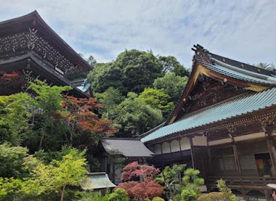 japan/hiroshima/attraction/daishoin