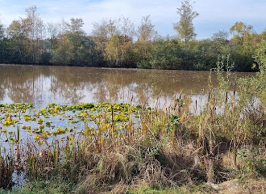 belgium/genk/attraction/het-domein-bokrijk