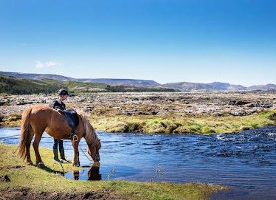 iceland/reykjavik-capital-area/attraction/ishestar-horse-riding-centre