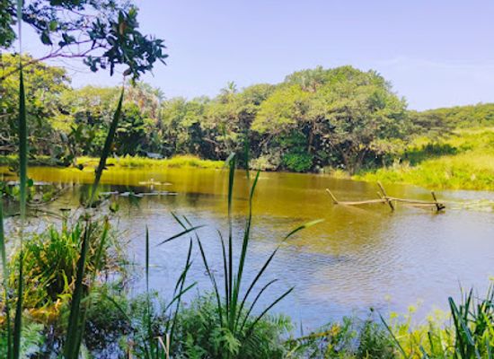 south-africa/durban/attraction/kenneth-stainbank-nature-reserve