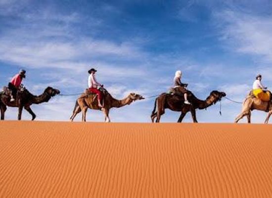 morocco/casablanca/attraction/guided-desert-morocco