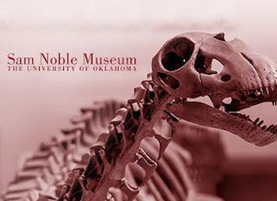 oklahoma/oklahoma-city/attraction/sam-noble-oklahoma-museum-of-natural-history
