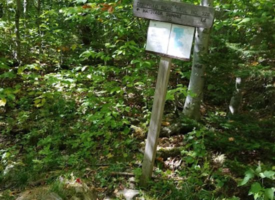 vermont/bennington-county/attraction/deerfield-ridge-trail