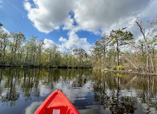louisiana/greater-new-orleans/attraction/crescent-city-kayak-swamp-tours